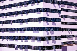 开云体育app下载-体育新闻中心推动体育赛事版权保护法律体系建设，体育赛事版权如何保护  第2张